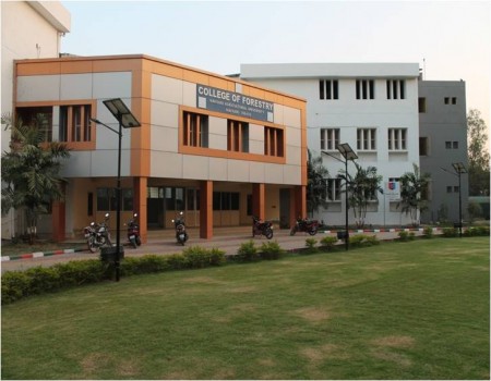College Of Forestry