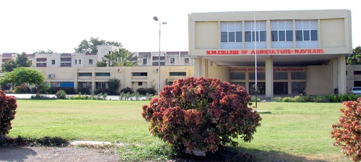 N.M. College of Agriculture