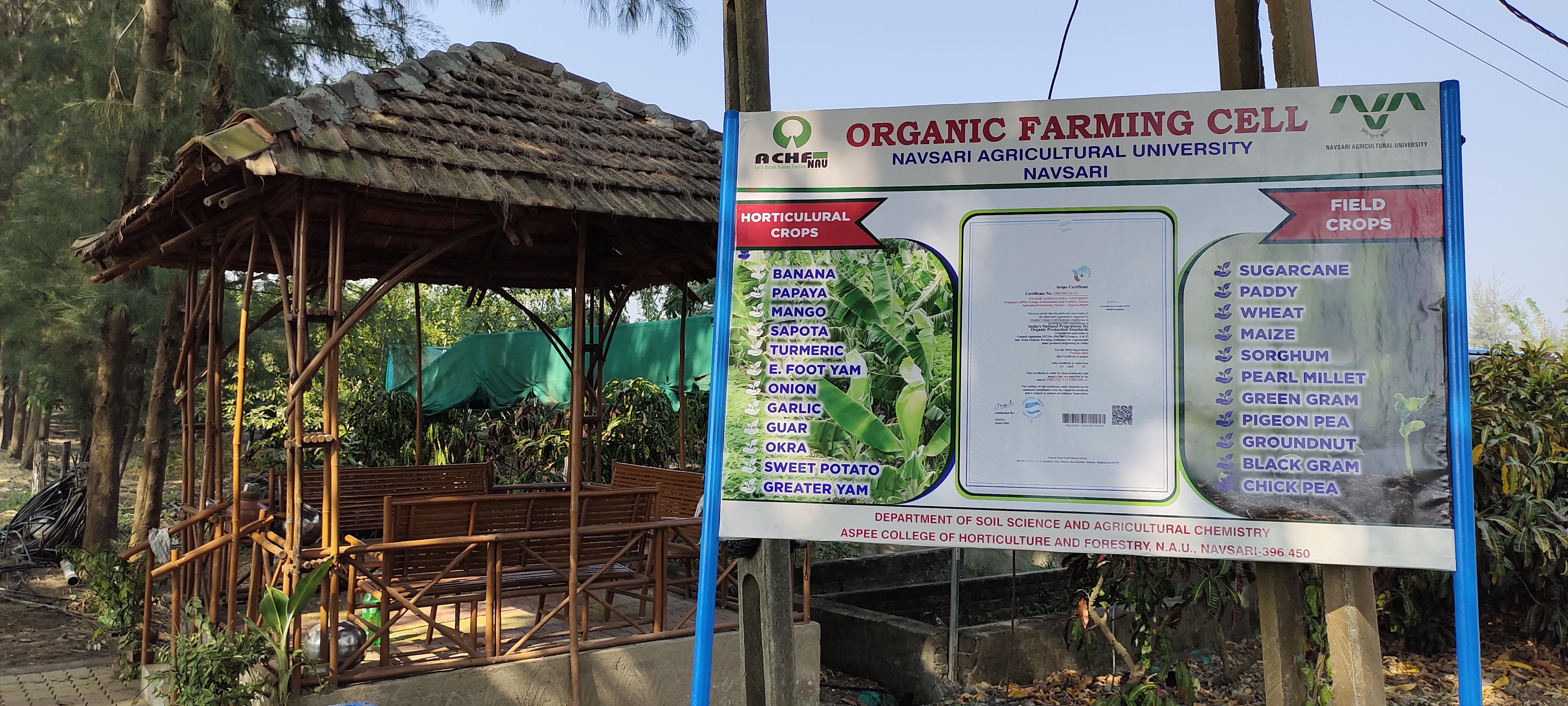 Organic Farm Navsari