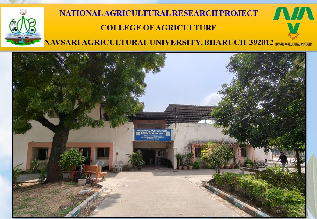 National Agricultural Research Project Bharuch