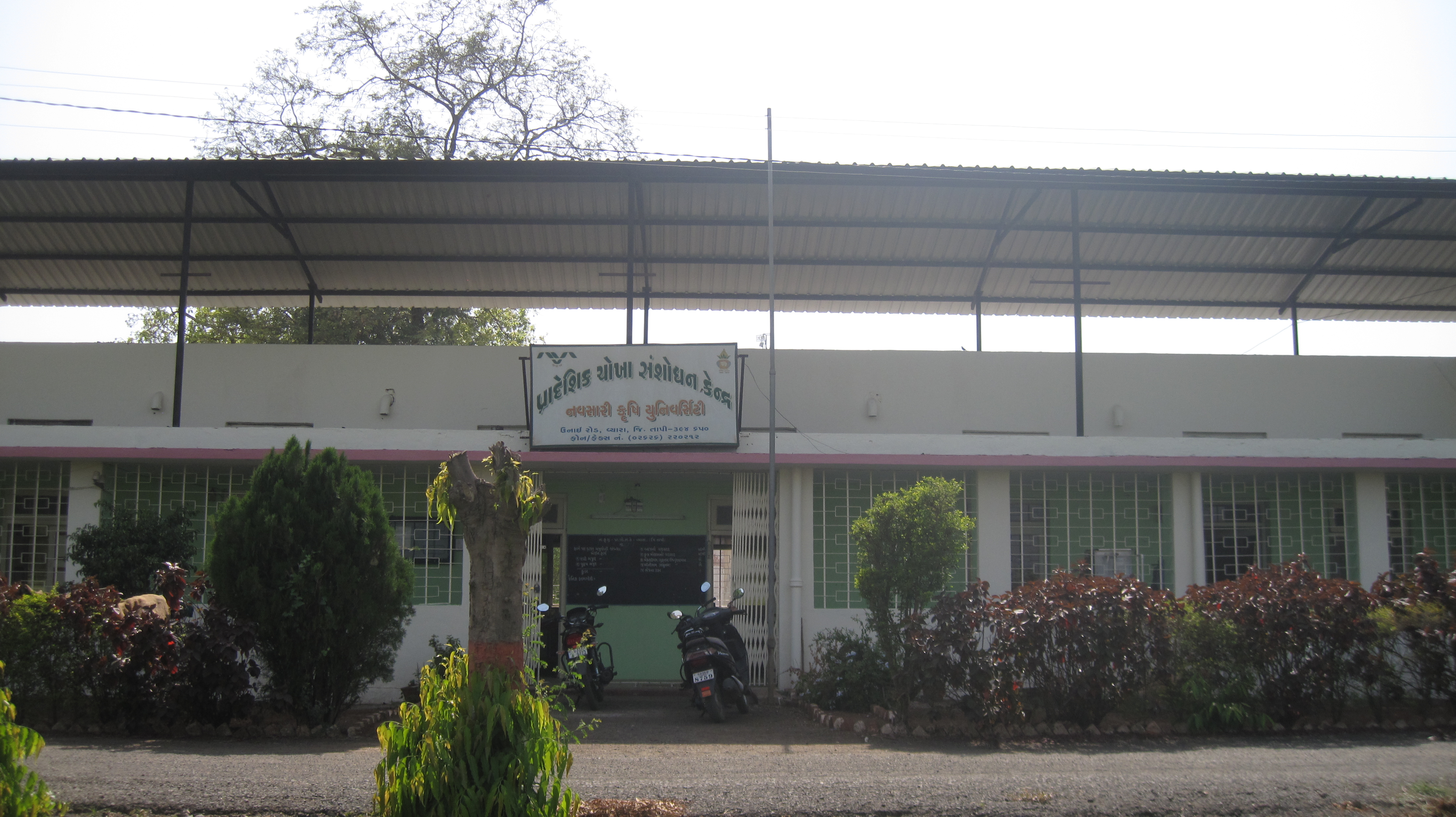 Regional Rice Research Station Vyara